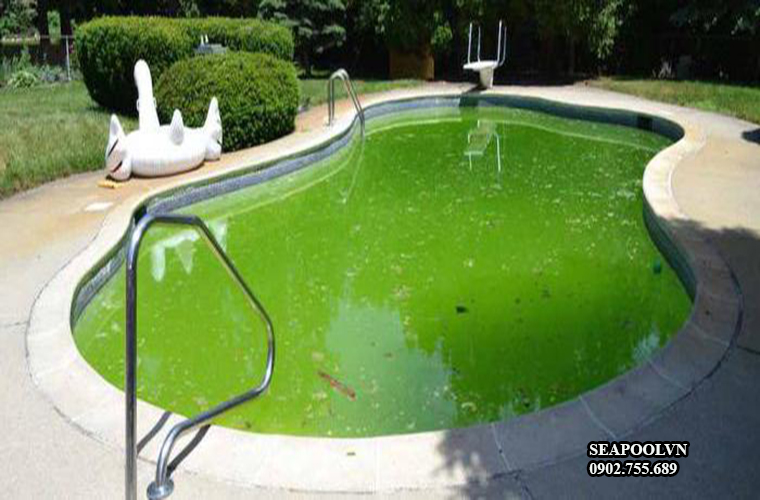 Hóa chất diệt rêu hồ bơi